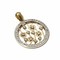 18Kt Yellow Gold Star/Flowe Pendant with Cz's
